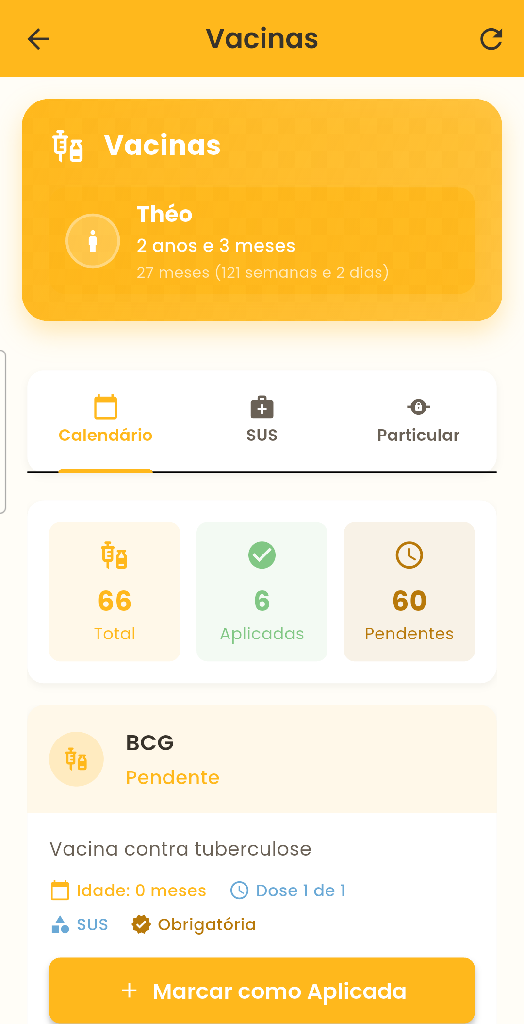 Tela de vacinas do aplicativo BiBê